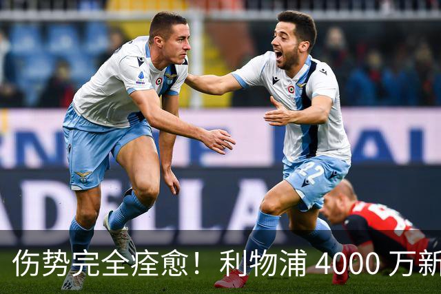 伤势完全痊愈！利物浦 4000 万新援迎世界杯首秀，西班牙边路解燃眉之急
