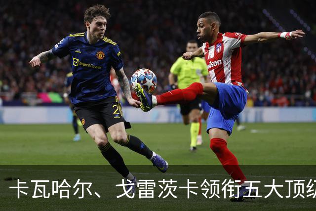 卡瓦哈尔、戈雷茨卡领衔五大顶级自由身，曼联中场迎来补强契机